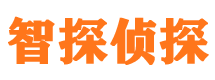 萝北市私人侦探